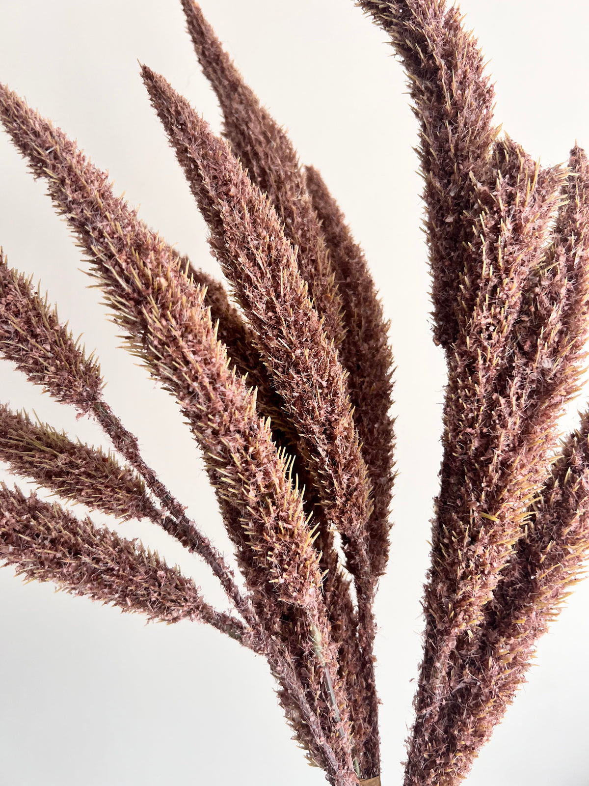 Faux: 25" Brown Millet Bundle