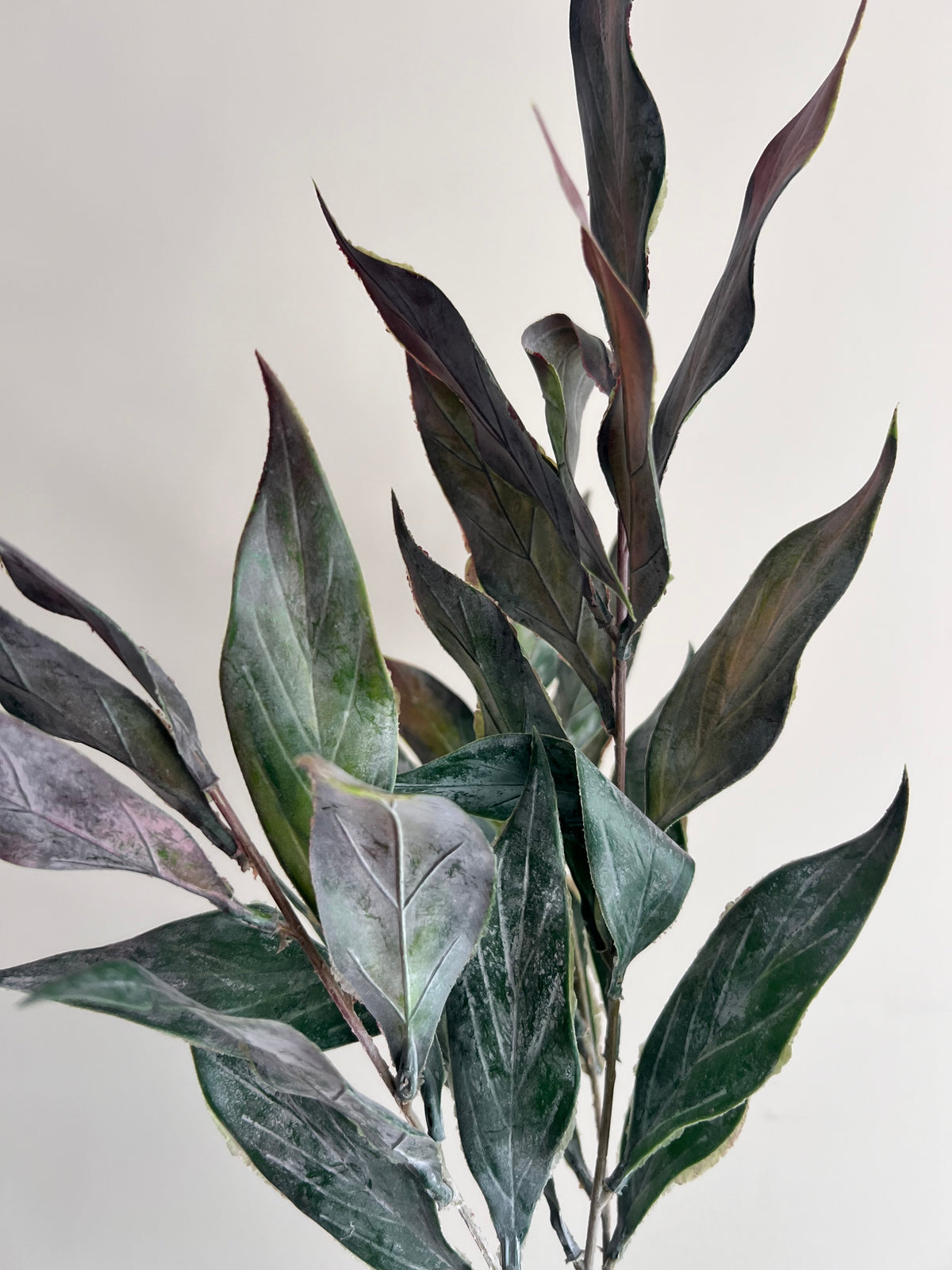 Faux: 28" Frosted Burgandy Green Lanceolate Leaf Spray