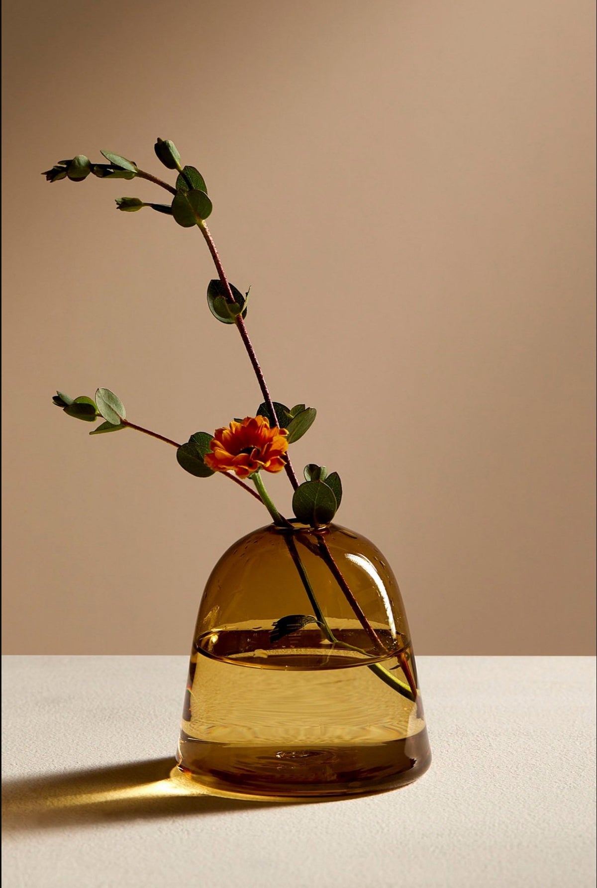 Silvia Taylor Glassware