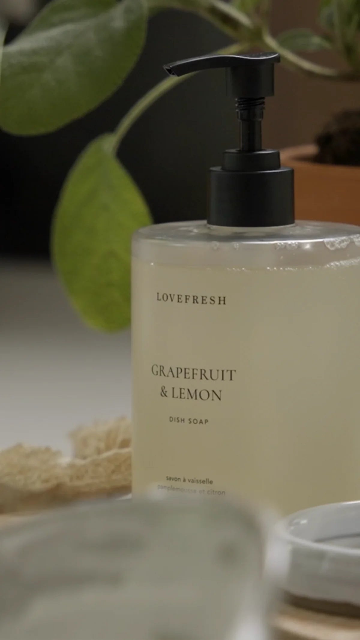 LOVEFRESH Dish Soap (two scents)