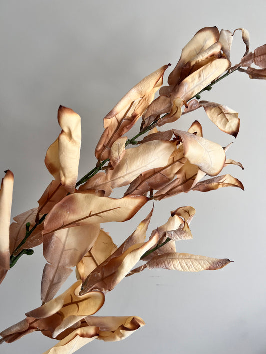 Faux: 38" Cream Dried Look Leaves