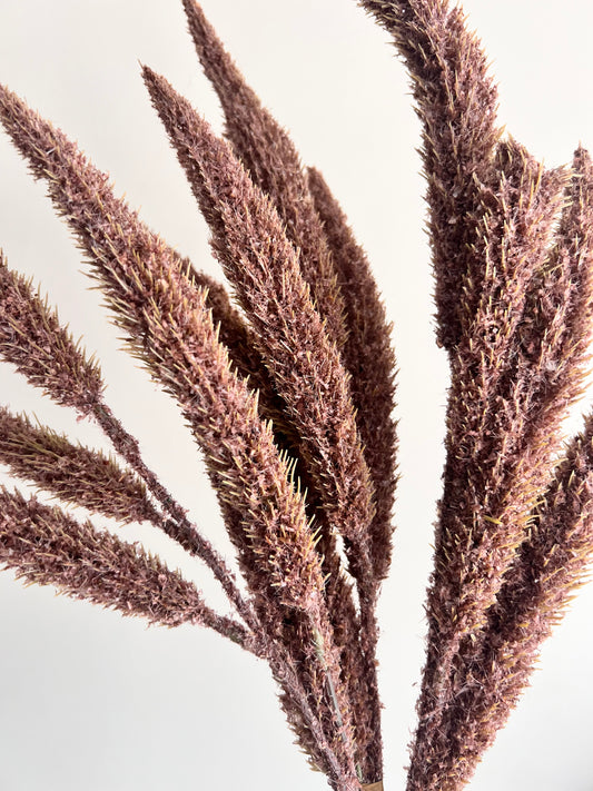 Faux: 25" Brown Millet Bundle