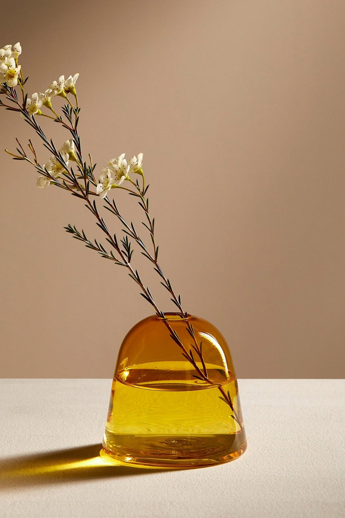 Silvia Taylor Glassware