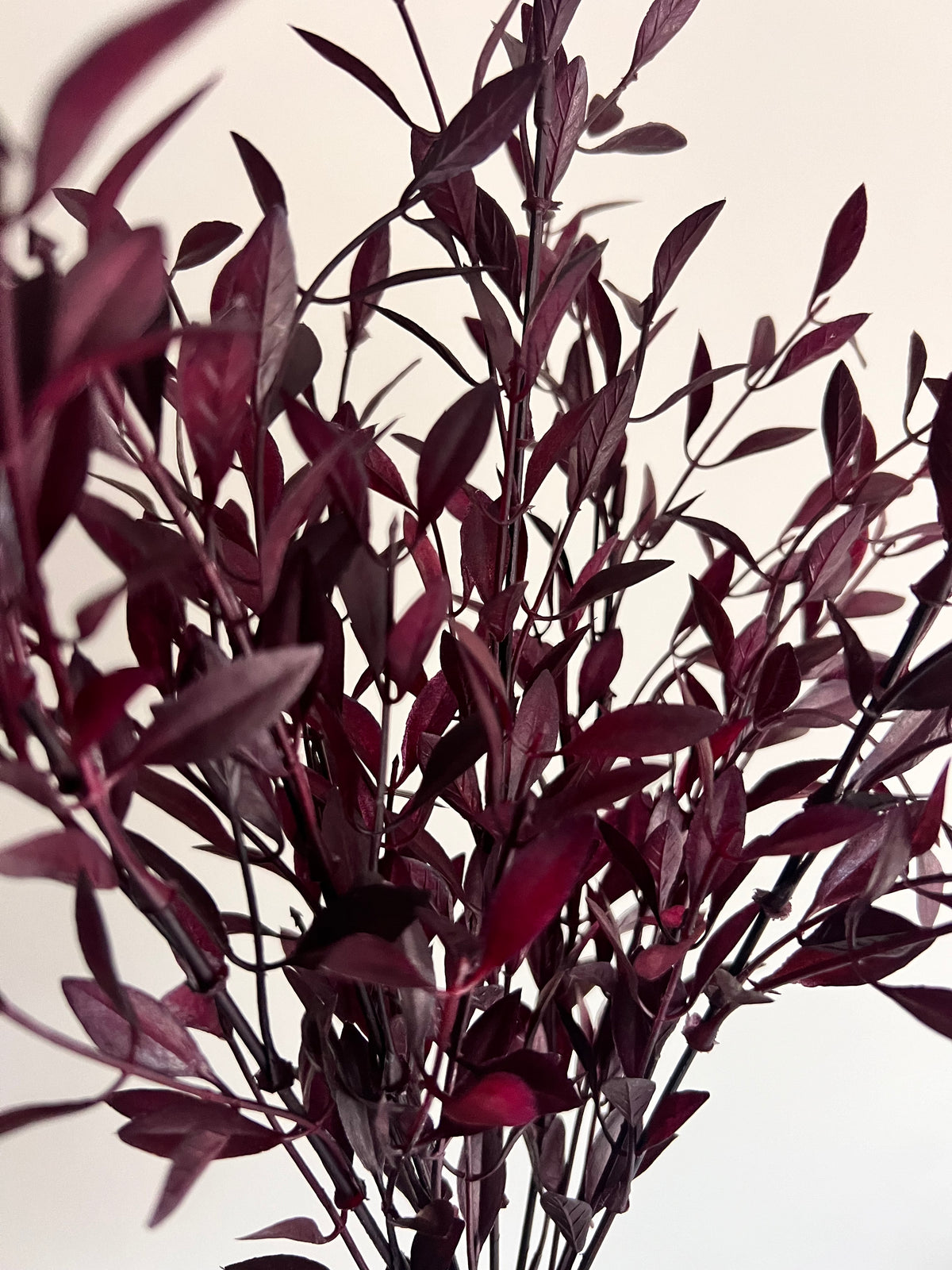 Faux: 18" Burgundy Willow Leaves Bush