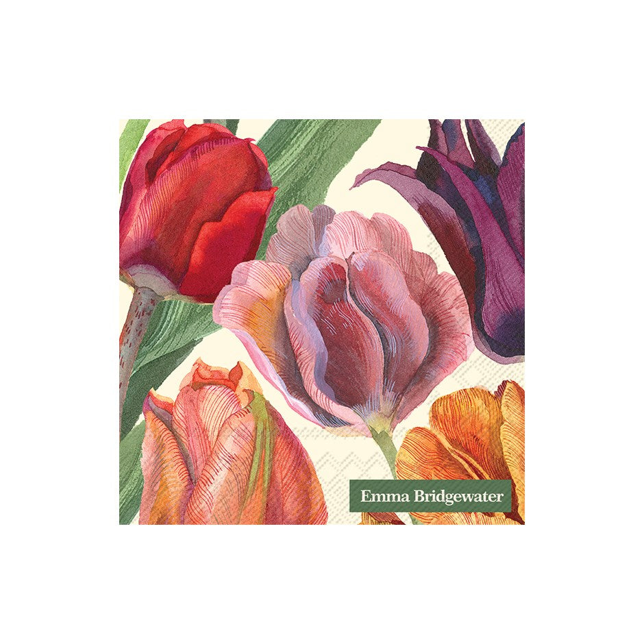 Spring Paper Napkins (many styles)