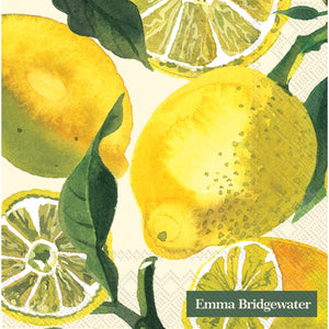 Open image in slideshow, Emma Bridgewater Napkins (three styles available)
