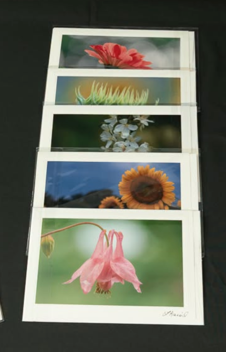 Kawartha Kaptures Botanical Notecard (many styles)
