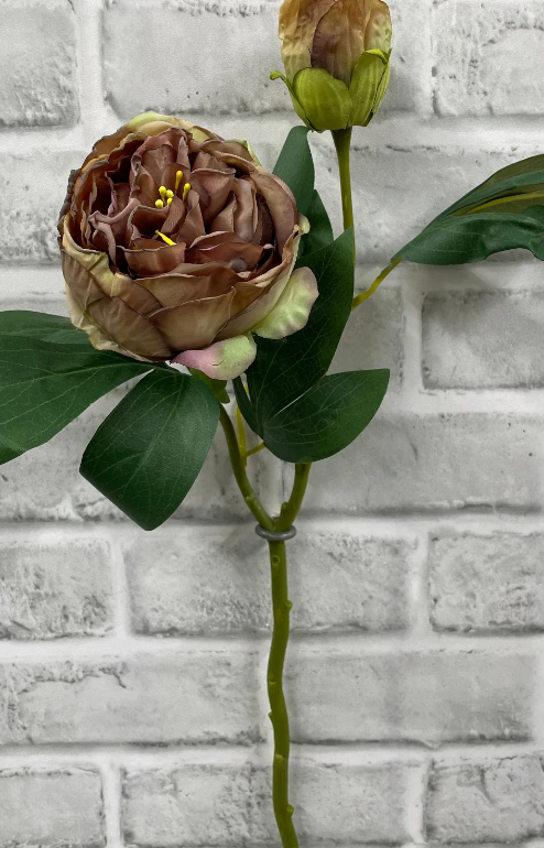 Faux: British Peony Stem Collection (four varieties)