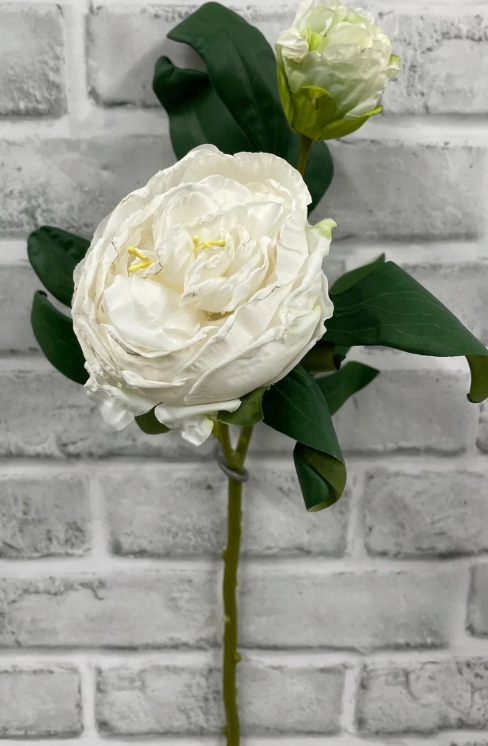 Faux: British Peony Stem Collection (four varieties)