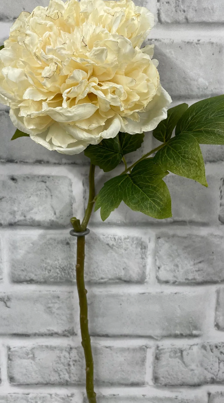 Faux: British Peony Stem Collection (four varieties)